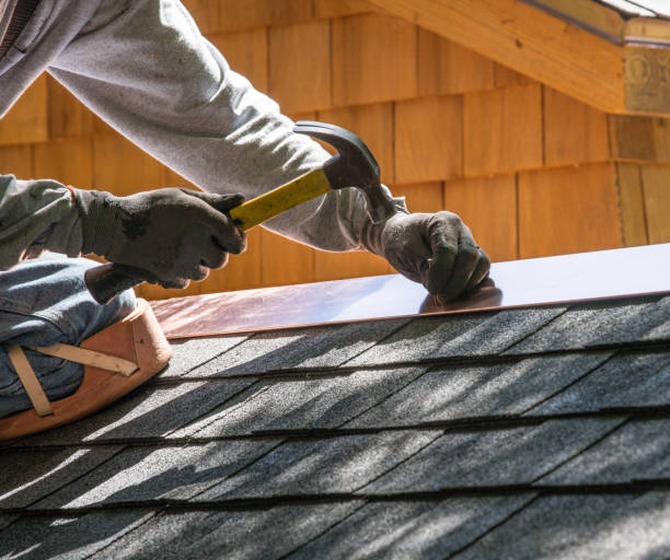 Roof Gutter Cleaning in Whitewright, TX